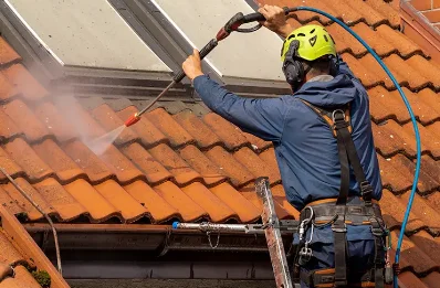Démoussage et hydrofuge de toiture à Vocance